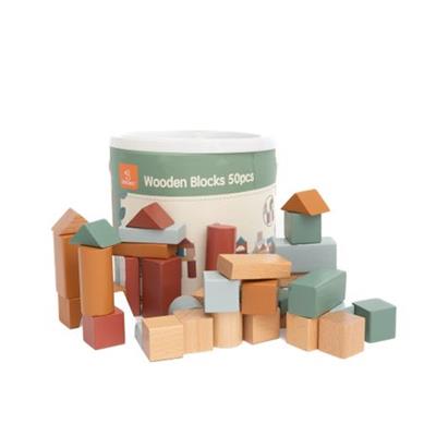 50-Piece Wooden Building Blocks Set - Educational Toy for Kids | Shop Today. Get it Tomorrow! | takealot.com