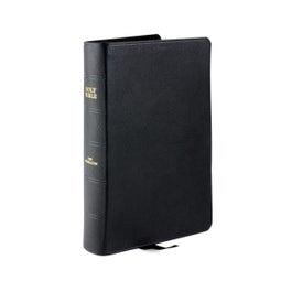J.N. Darby New 2022 Extra Large (Family) Bible