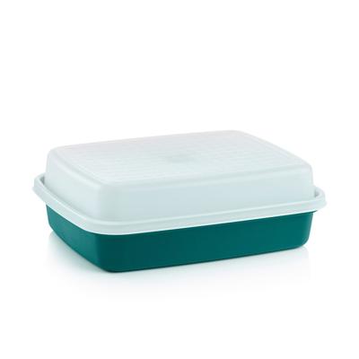 Tupperware Season-Serve® Marinating & Food Storage Container with Lid Vintage Sale In Canada - Sale Tupperware Canada