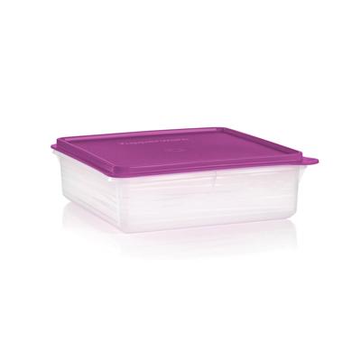 Tupperware Snack-Stor® Container Entertaining Outlet Store - Tupperware Canada Black Friday