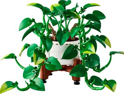 Hanging Golden Pothos 11512 | Botanicals | Buy online at the Official LEGO® Shop CA