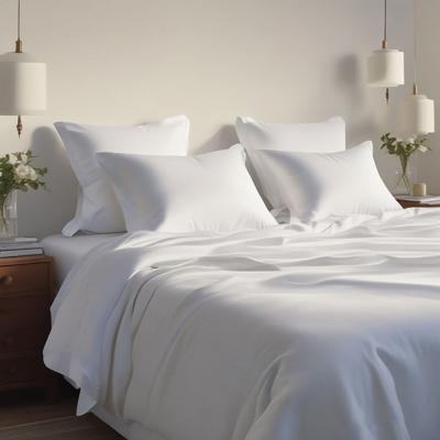 Aholicdeals Hotel Luxurious Bamboo Blend Bed Sheet Set 2000 Series & Reviews - Wayfair Canada