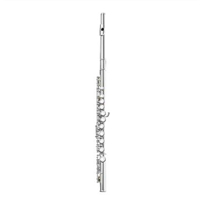 Takealot — 16 Closed Open Holes C Key Professional Transverse Flute