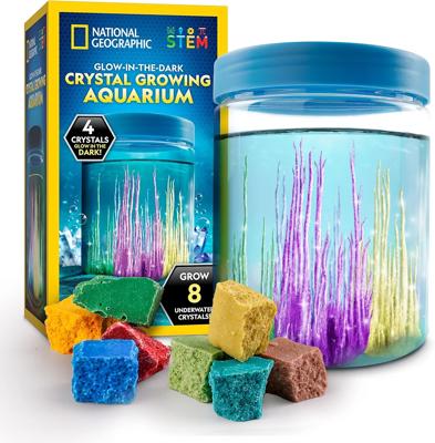 Amazon.com: National Geographic Underwater Crystal Growing Aquarium Science Kit | Grow 8 Colorful Crystals Underwater, Secure 360-Degree Viewing Canis
