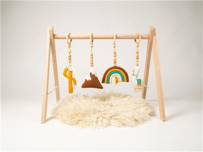 Baby Activity Gym