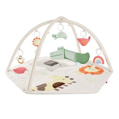 Geometric Wonders Activity Gym