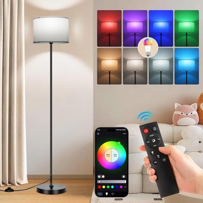 FRIDEKO HOME Floor Lamp for Living Room - Bedroom Standing Tall Lamps with Remote & Color Changing Light Bulbs - Dimmable Mordern Corner Lights for Of