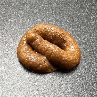 Realistic FAKE POOP – Beersy LLC
