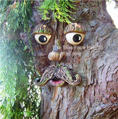 Tree Man
