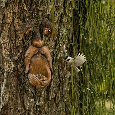 Tree Face Bird Feeder