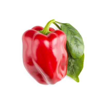 Red Sweet Pepper Plant Pods
