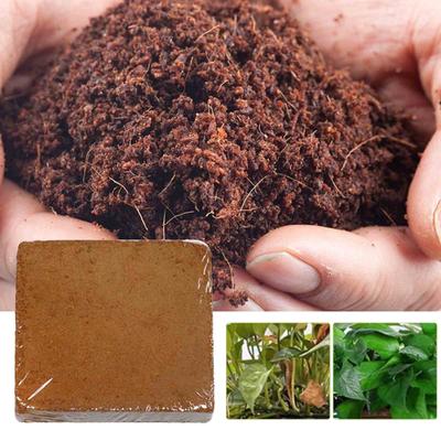Coconut Coir Fiber Bricks - 5L Organic Potting Soil Substitute for Plants, Flowers, Vegetables - Hydroponic Growing Medium with High Water Retention &