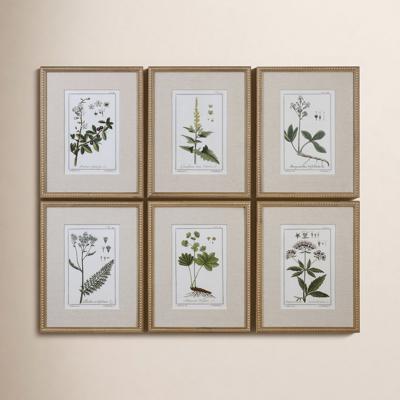 Three Posts™ Green Floral Botanical Study Print & Reviews | Birch Lane