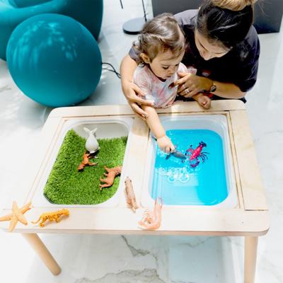Sensory Table – Curious Cub