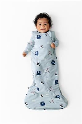 Sleep Bag in Vintage Hockey 1.0