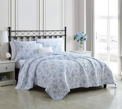 Amazon.com: Laura Ashley - Queen Quilt Set with Shams, Cotton, Reversible | Soft & Comfortable Feel, Lightweight Year-Round Layer, Coordinating Sham,