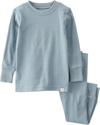 Amazon.com: little planet by carters unisex-baby Baby and Toddler 2-piece Pajamas made with Organic Cotton, Blue Creek, 18 Months: Clothing, Shoes &